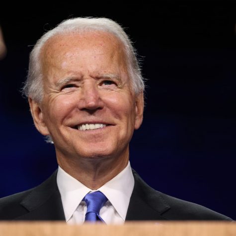 What Does the Biden-Harris Administration Promise?