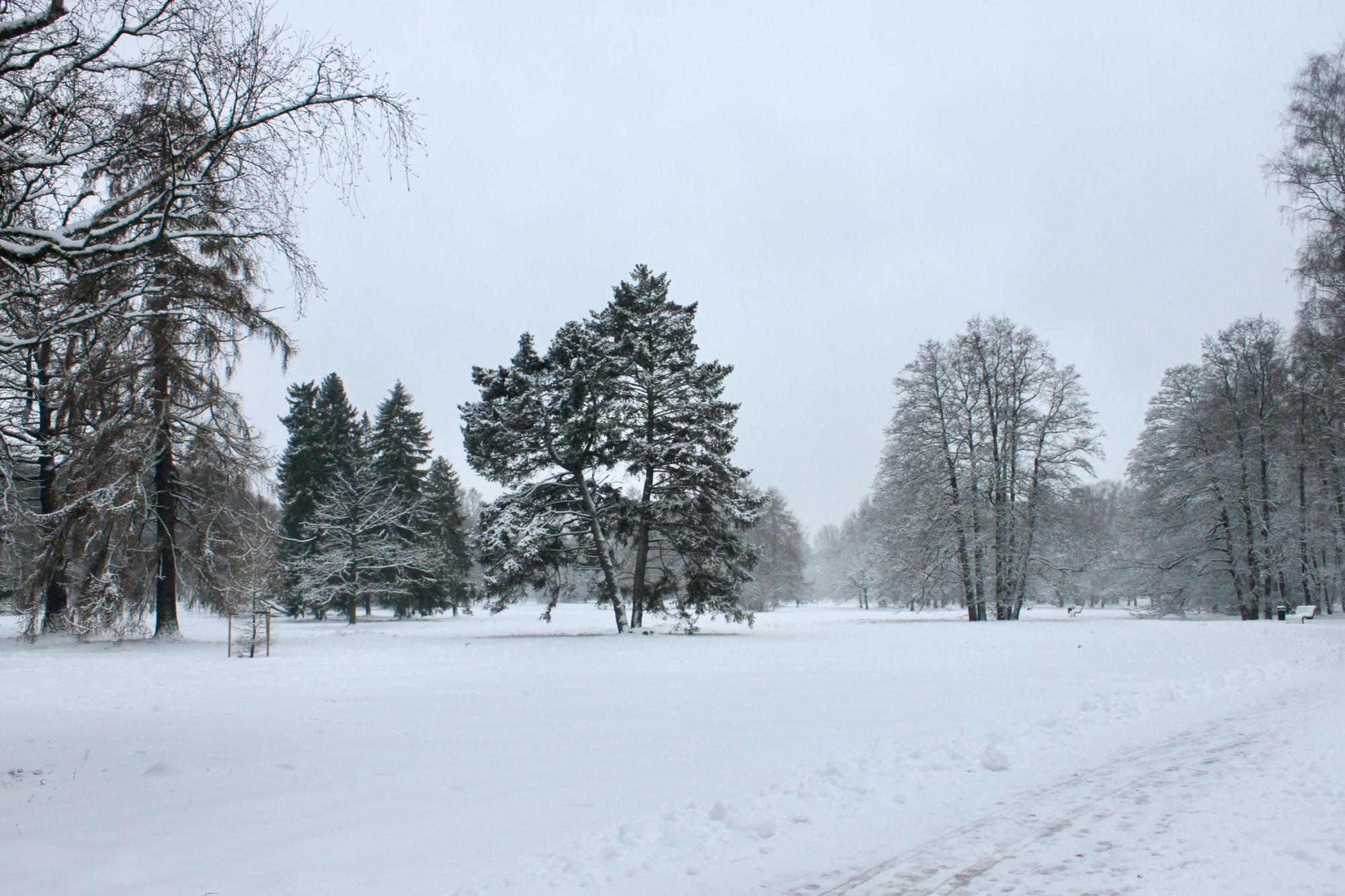 Tired of Winter?
